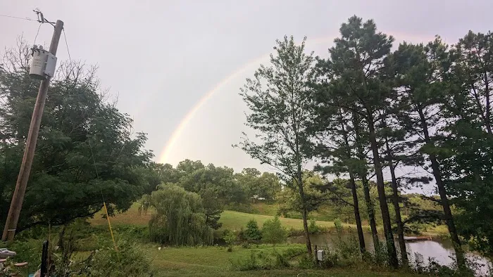 Ouachita Campground at Edendell Picture 5