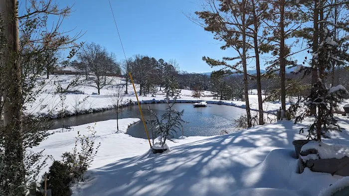 Ouachita Campground at Edendell Picture 4