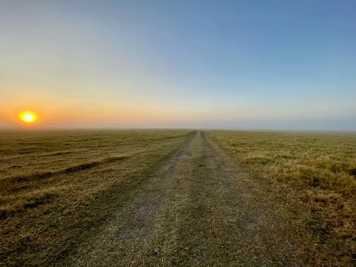 Flying Cow Ranch Picture 8