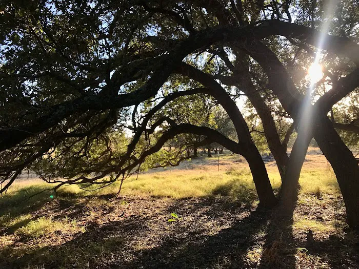 Flying Cow Ranch Picture 9