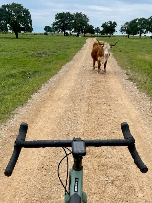 Flying Cow Ranch Picture 3