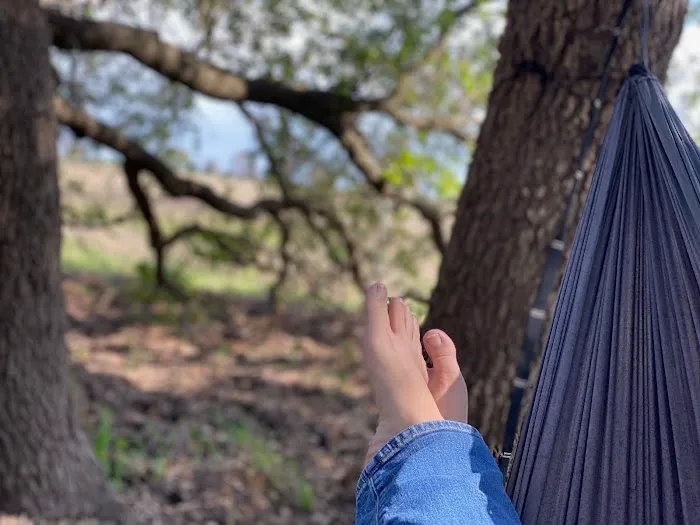 Flying Cow Ranch Picture 6