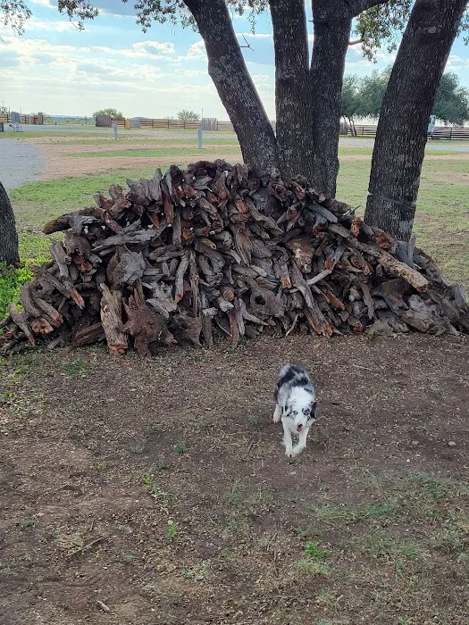 Camp Pecan Bayou RV Park Picture 10