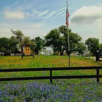 Wood Forest RV Park ico