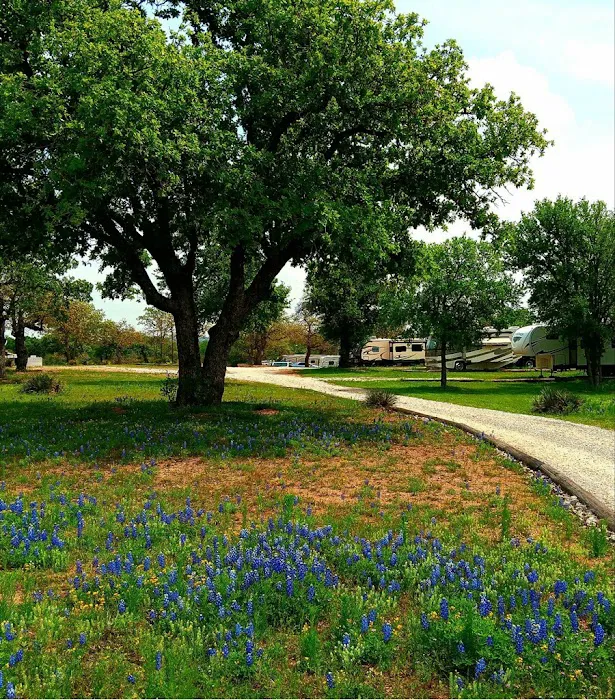 Wood Forest RV Park Picture 2