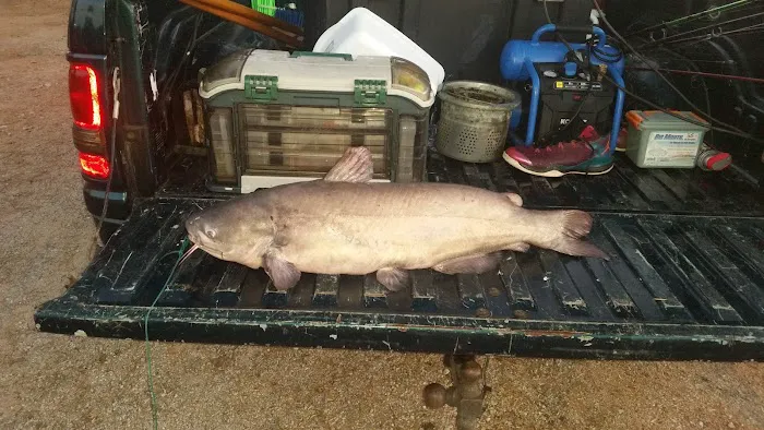 Wheely Livin' Picture 4