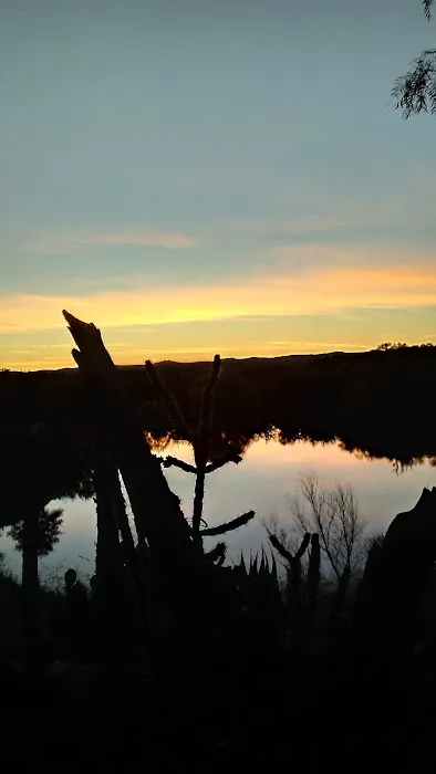 Wheely Livin' Picture 2