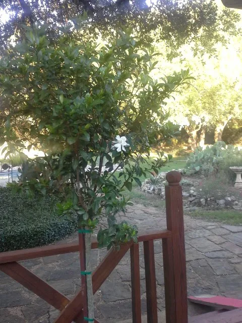 Hofbrau RV Park Picture 10