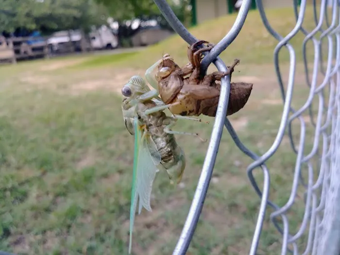 Hofbrau RV Park Picture 5