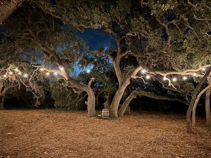 Stardust Airstream & RV Resort Picture 5