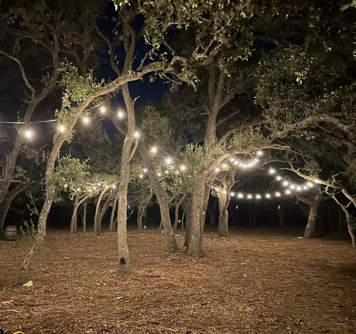 Stardust Airstream & RV Resort Picture 1