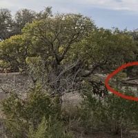 Pedernales RV Park ico