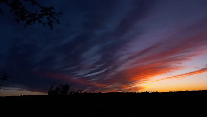 Pedernales RV Park Picture 8