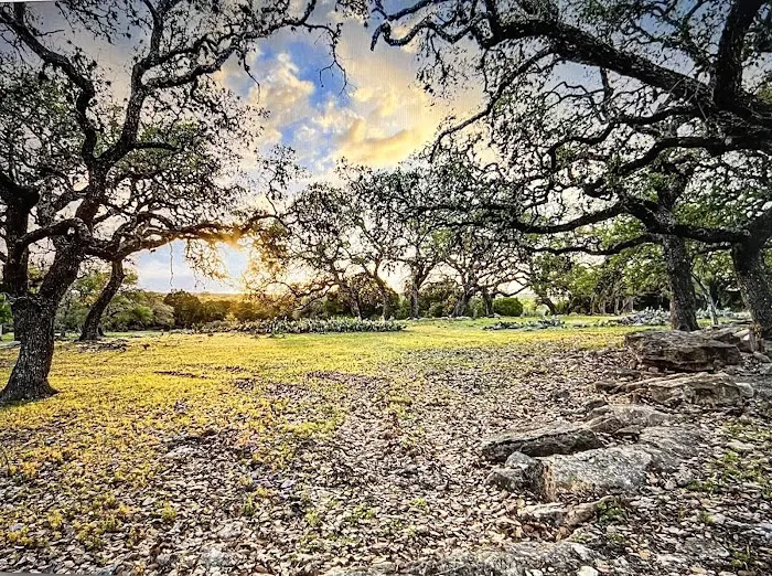 HillCo Hub Picture 7