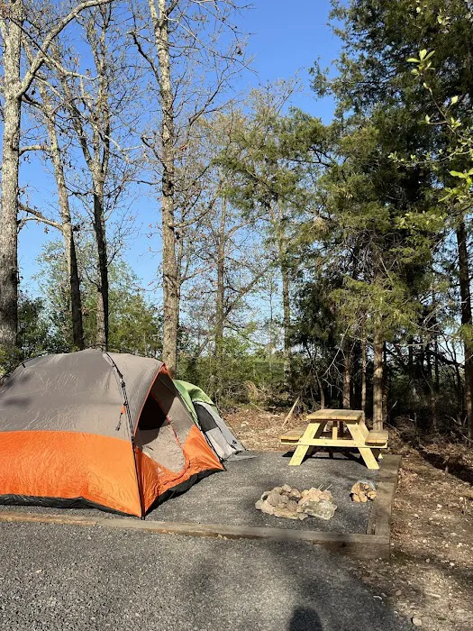 Grassy Road Cabins and Camping Picture 10