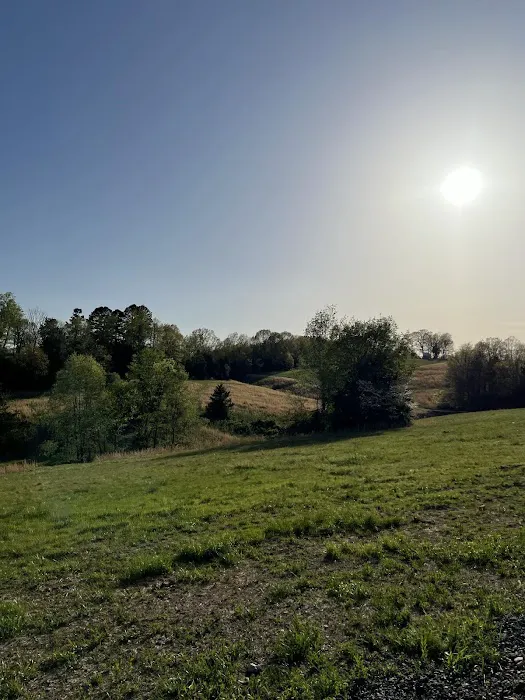 Grassy Road Cabins and Camping Picture 6