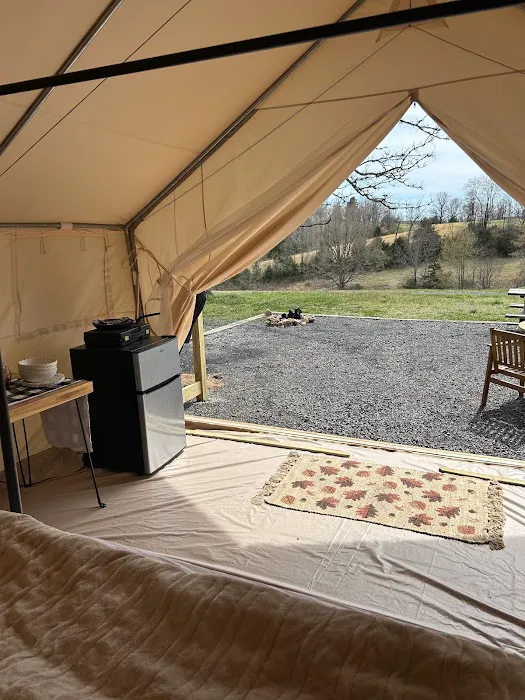 Grassy Road Cabins and Camping Picture 4