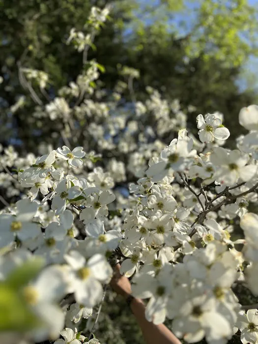 Grassy Road Cabins and Camping Picture 8