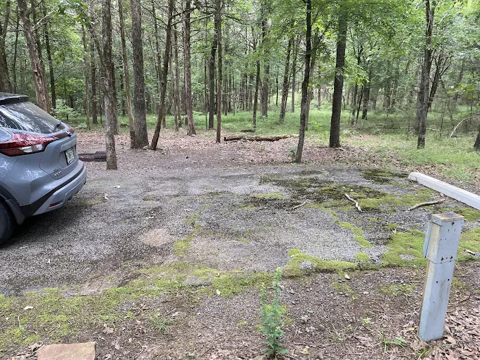 Shoal Bay RV & Campsites Picture 3