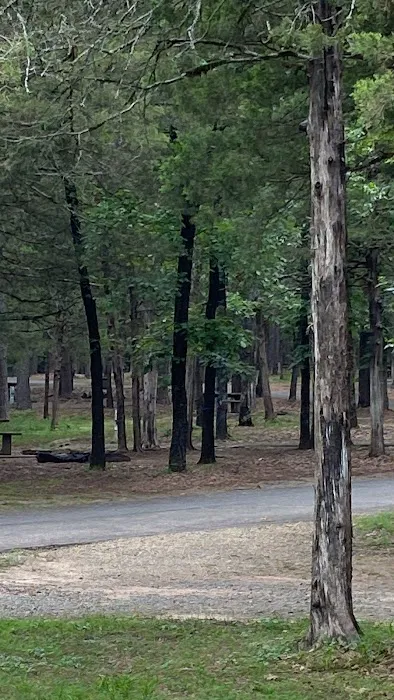 Shoal Bay RV & Campsites Picture 8