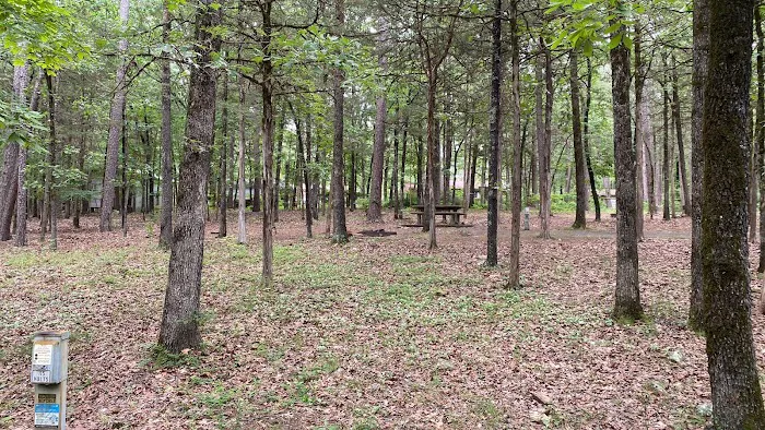 Shoal Bay RV & Campsites Picture 9