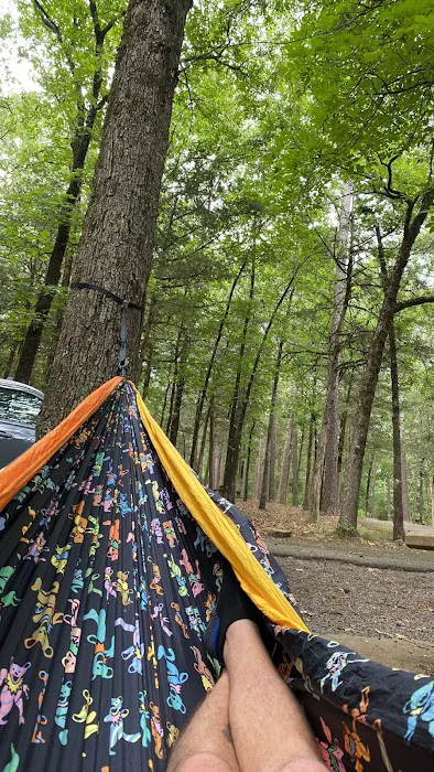 Shoal Bay RV & Campsites Picture 4