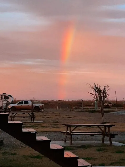 Gator RV Park Picture 4