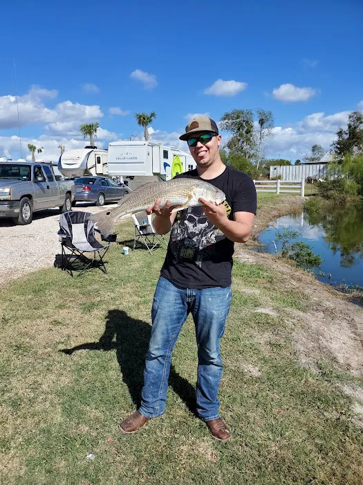 Driftwood RV Resort Picture 1