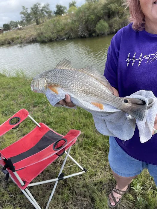 Driftwood RV Resort Picture 10