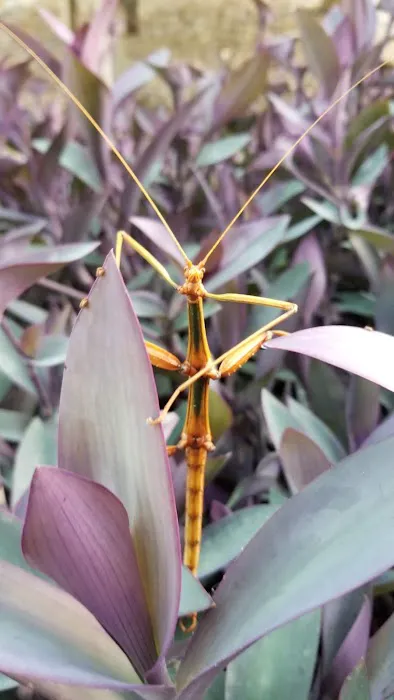 Rockfield RV Park Picture 1