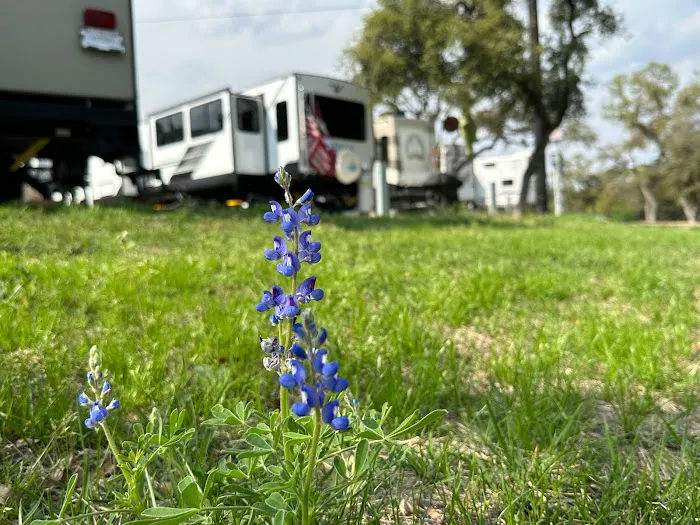 Fox Hollow RV Park & Cottages Picture 4