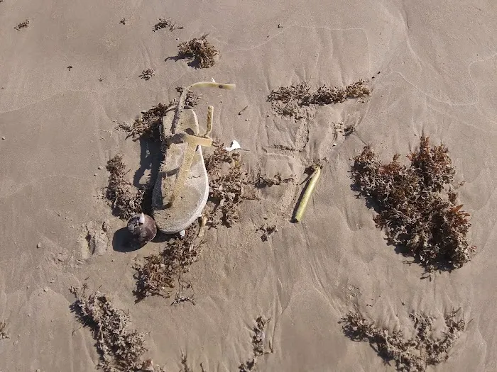 The Texas Rose RV Park Picture 3