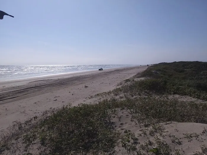 The Texas Rose RV Park Picture 9