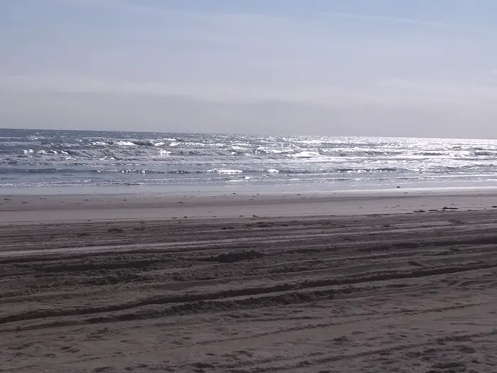 The Texas Rose RV Park Picture 10