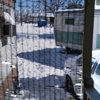 Riverside Trailer Court ico