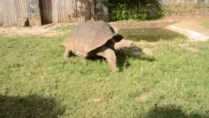 Crestwood Estates Picture 4