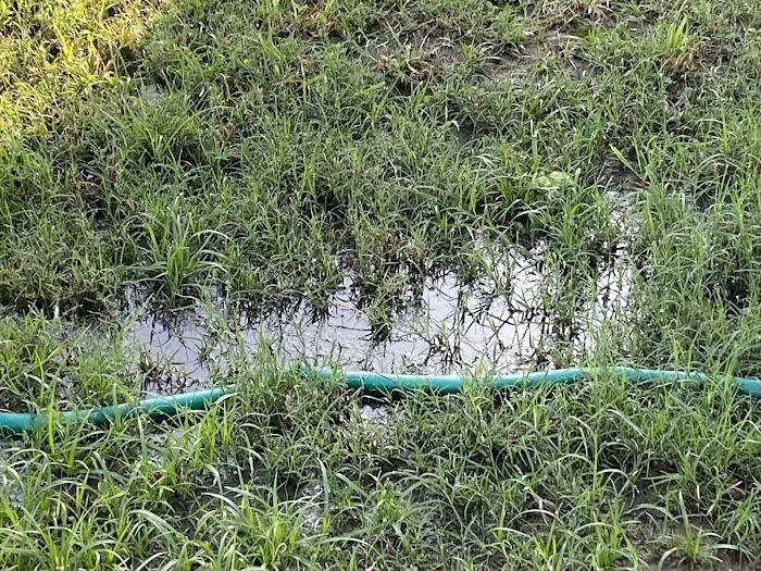 Tri-Cities RV & Storage Picture 6