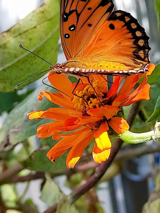 Toepperwein City View RV Park Picture 4