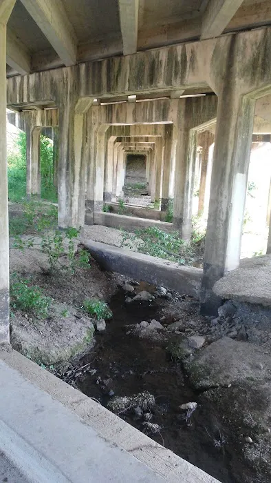 Salado Creek Estates Mobile Home Park Picture 2