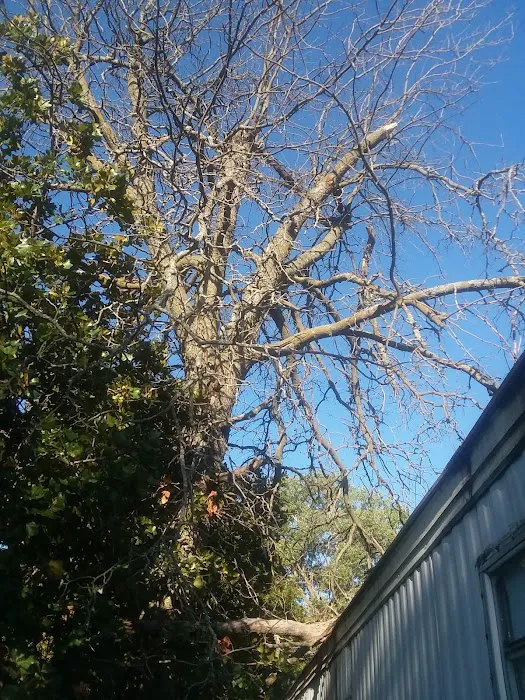Hilltop Mobile Home Park Picture 3