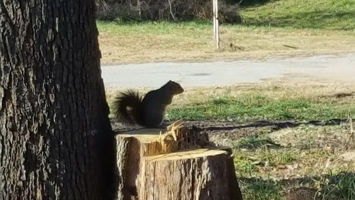 Eagle Pass Campground Picture 8