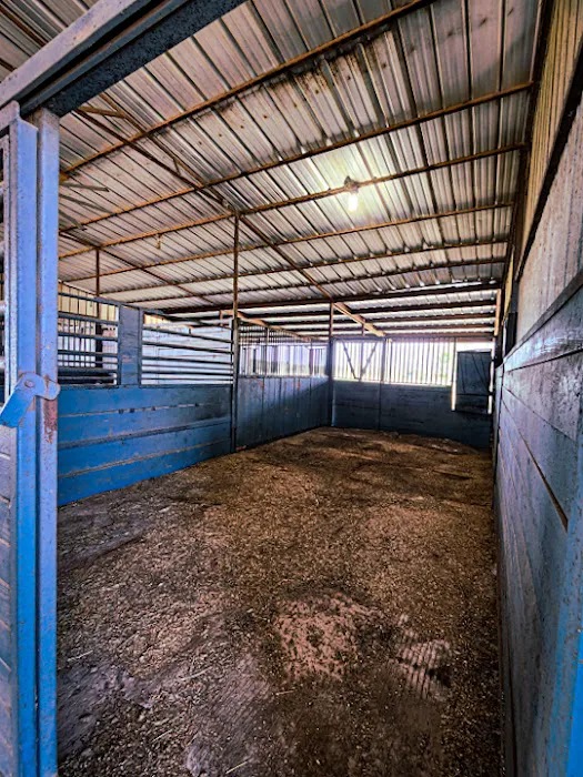 The Roost and Ride Ranch Picture 3