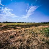 The Roost and Ride Ranch ico