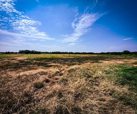 The Roost and Ride Ranch