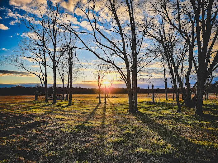 The Roost and Ride Ranch Picture 5