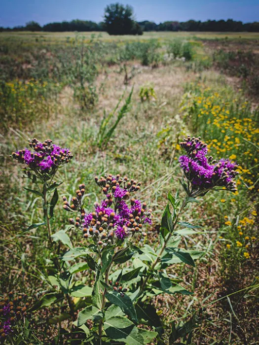 The Roost and Ride Ranch Picture 7