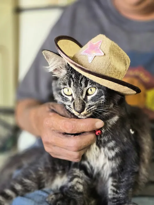 The Roost and Ride Ranch Picture 8