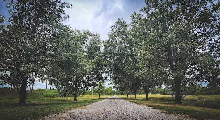 The Roost and Ride Ranch Picture 6