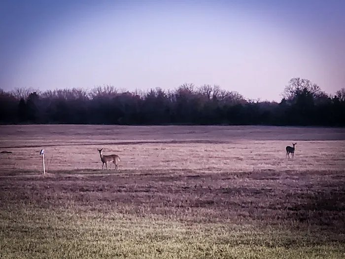 The Roost and Ride Ranch Picture 9