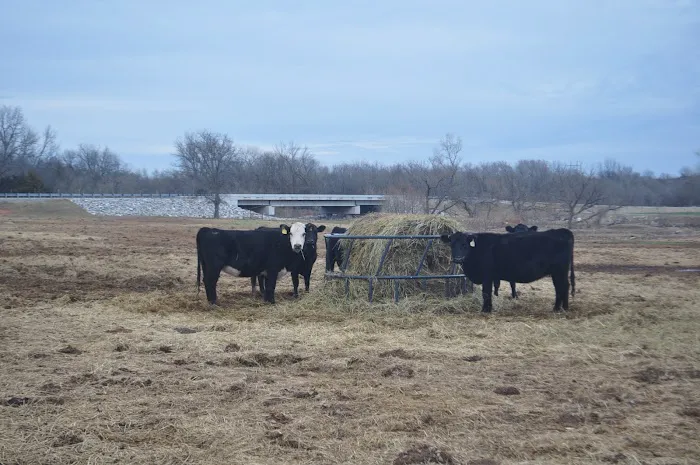 Duncan's Grove R.V. Park Picture 5